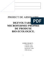 PROIECT - MP Exemplu