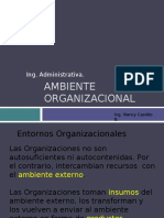 Ambiente Organizacional