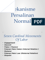 2_Mekanisme Persalinan Normal.pptx