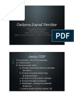 CederaSST.pdf