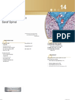 Human-Anatomy-Kenneth-S-Saladin-2008 (1) - Halaman-424-450.en - Id