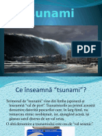 Tsunami Referat