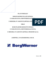 BorgWarner Demerger Plan PL F PDF