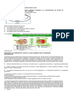 Taller Sobre Celula Grado Sexto 2 PDF