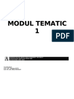 Modul Tematic 1