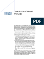 Mineral Nutrition PDF