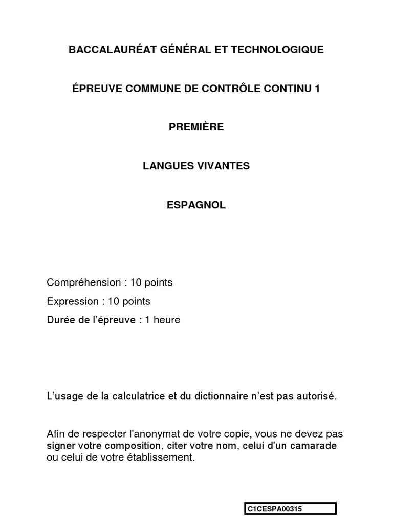 Innovation Scientifique Et Responsabilites Espagnol Exemple Sujet Diversite Inclusion Espagnol | PDF