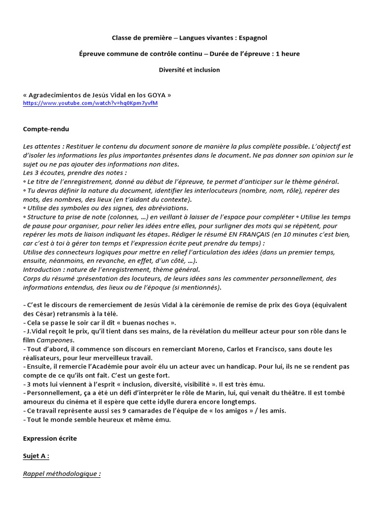 Innovation Scientifique Et Responsabilites Espagnol Exemple Corrige Diversite Et Inclusion Espagnol | PDF
