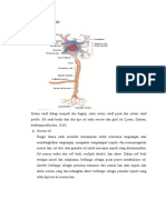 ANATOMI FISIOLOGI Stroke