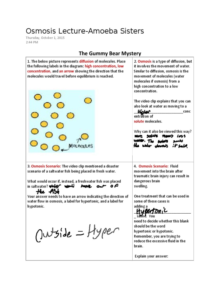 osmosis-lecture-amoeba-sisters-pdf-osmosis-chemistry