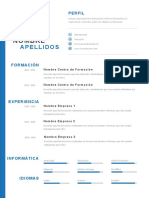 Plantilla Curriculum Vitae 8