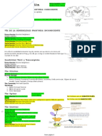Vías de Conducción PDF