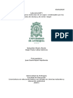 Determinacion Del Peso Molecular de Un Vapor Condensable Por Los Metodos de Dumas y de Victor Meyer