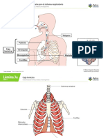 Clase 3.pdf