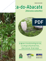 A Broca-do-Abacate (Stenoma catenifer).pdf