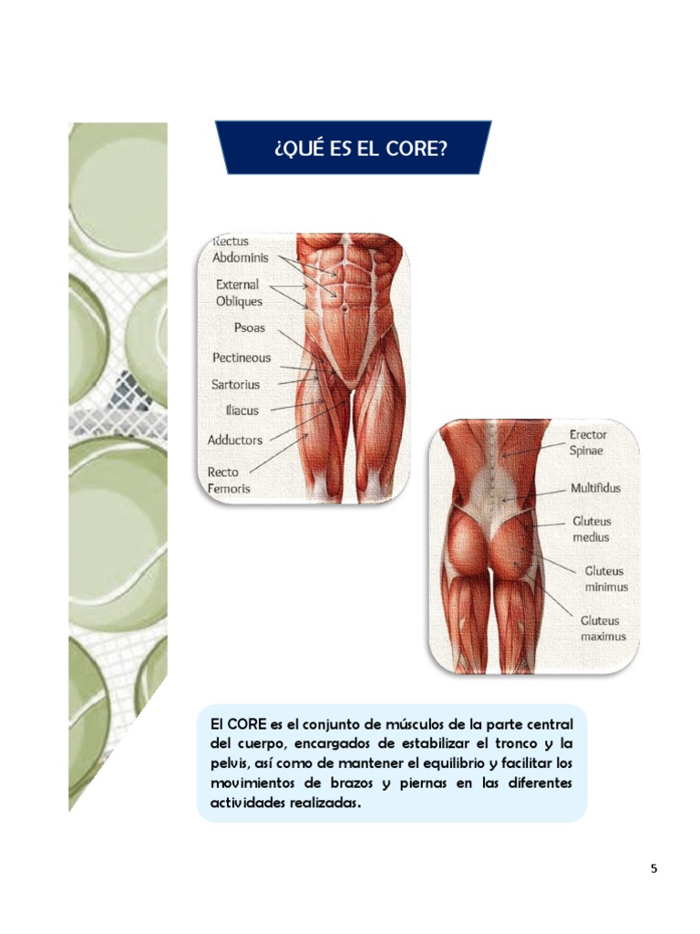 Cartilla Del Core | PDF | Músculo | Bienestar