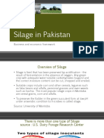 Silage in Pakistan