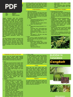 Download Budidaya Tanaman Cengkeh by Indra Evrynaldy SN45194318 doc pdf