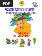 Proiect Activitate Integrata Inspectia c1 Gradul I