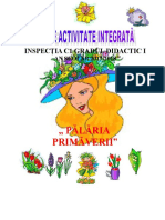 Proiect Activitate Integrata Inspectia c1 Gradul I