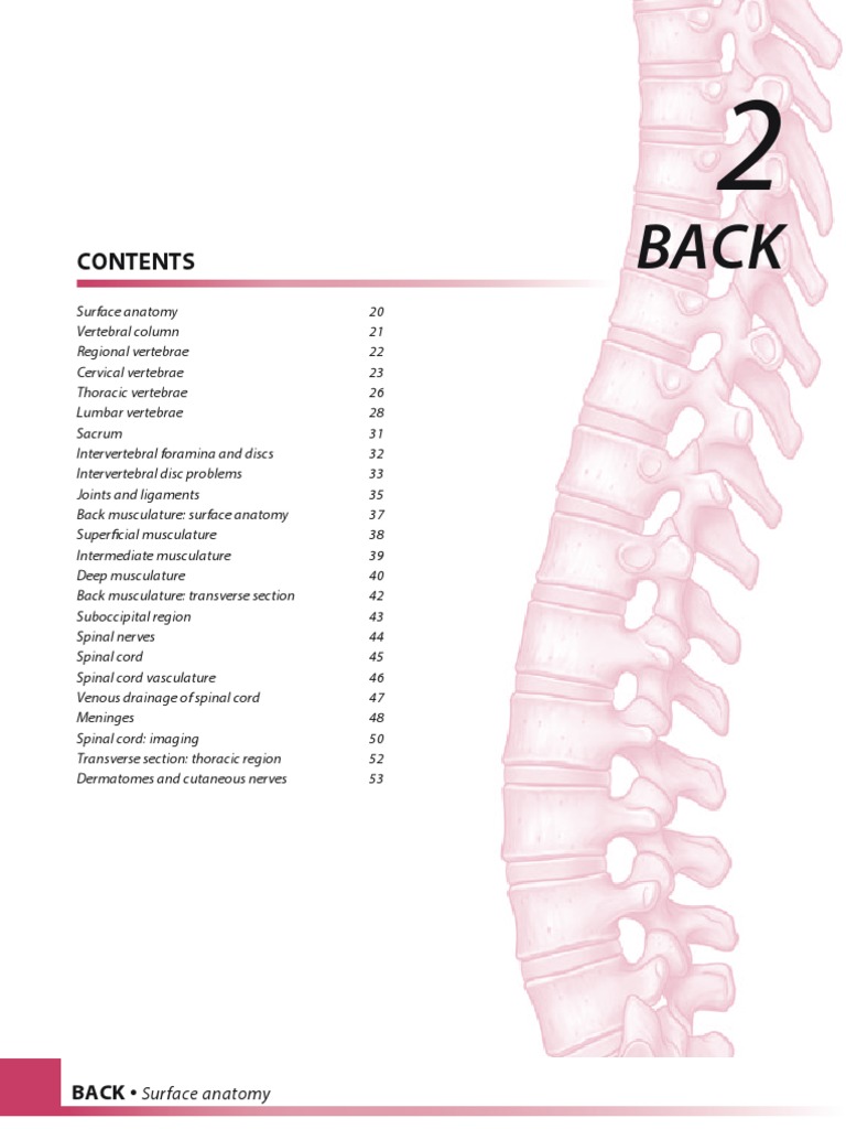 Back | PDF