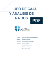 Finanzas Arqueo de Caja y Analisis de Ratios