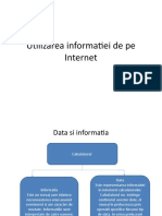 Utilizarea Informatiei de Pe Internet