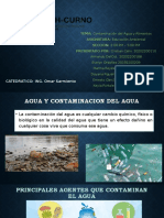 DIIAPO. Contaminacion del Agua.pptx
