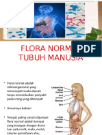 Flora Normal Tubuh Manusia
