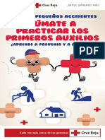 Auxilios Folleto.pdf