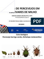 Percevejo-Milho-Safrinha.pdf