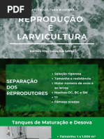 reproduçao e larvicultura.pdf