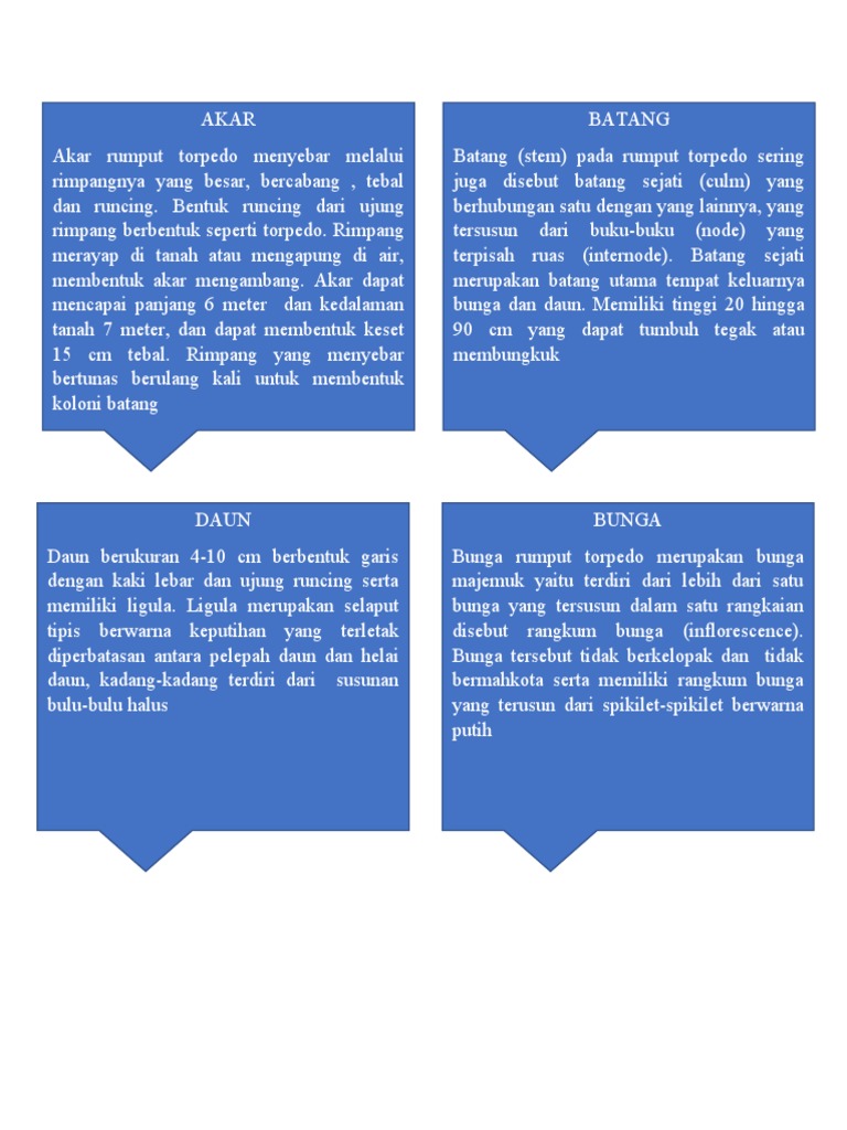 Morfologi Rumput Torpedo | PDF | Puisi