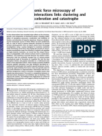 Subnanometer Atomic PDF
