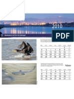 Calendari 2010