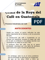 Presentación Crisis de La Roya Del Café en Guatemala