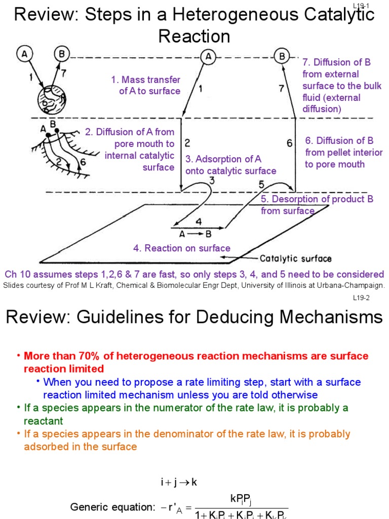 Steps in Heterogeneous Catalytic Reactions | PDF | Heterogeneous ...