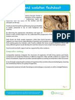 Fossils and evolution factsheet