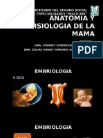Anatomia de La Glandula Mamaria