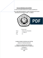 dokumen.tips_indentifikasi-plagioklas.pdf