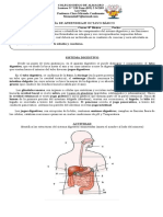 Guia de Aprendizaje Octavo Basico