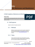 Well Completions, Maintenance and Abandonment Procedures