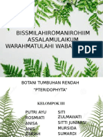 Kelompok 3 Pteridophyta (Botani Tumbuhan Rendah) Dok