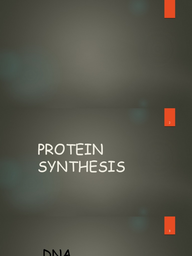 Protein Synthesis Overview | PDF | Rna | Translation (Biology)
