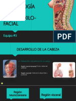 embriologaespecialbucomaxilofacial5-170820233534 (1).pdf