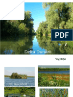 Delta Dunării - Fauna Și Vegetație
