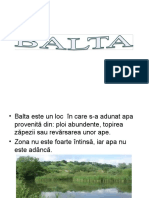 0_balta.ppt