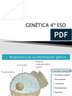 Apuntes Bioquímica de La Informaicón Génica SUSPENSIÓN CLASES SEFARAD