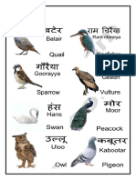 Hindi Birds
