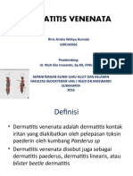 Dermatitis Venenata pada Pria Dewasa